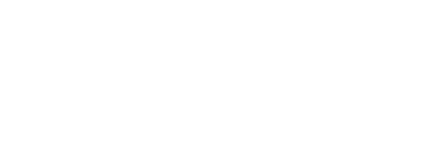 Salesforce Partner
