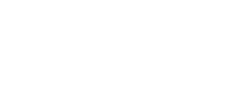 Salesforce Partner